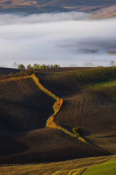 Typisk Toskansk Morgon Höstlandskap Val Orcia Toscana Italien — Stockfoto