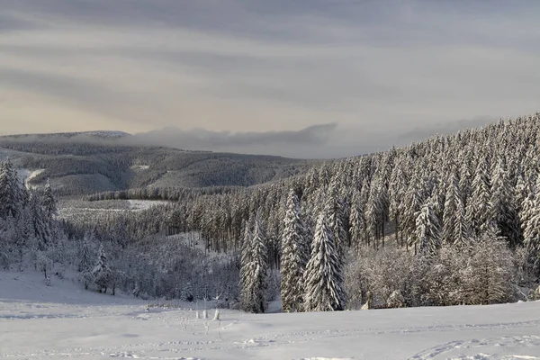 Krajobraz Zimowy Śnieżką Karkonosze Krkonose Czechy Północne Czechy — Zdjęcie stockowe