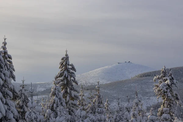 Paisagem Inverno Com Snezka Giant Mountains Krkonose Northern Bohemia República — Fotografia de Stock