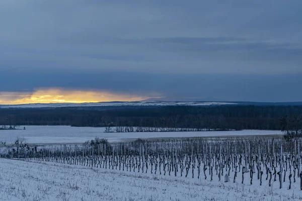 Krajobraz Winnicami Slovacko Morawy Południowe Czechy — Zdjęcie stockowe