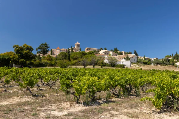 Typischer Weinberg Der Nähe Von Vinsobres Cotes Rhone Frankreich — Stockfoto