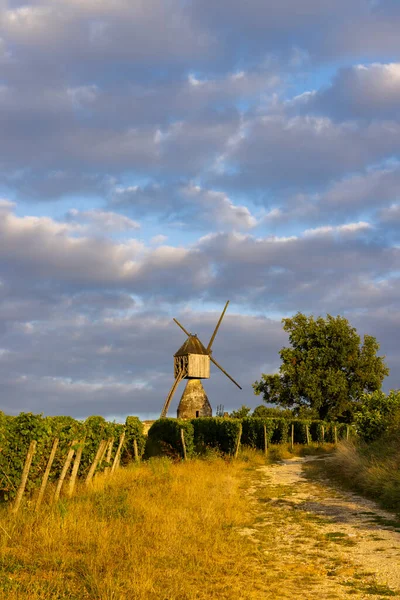 Windmolen Van Tranchee Wijngaard Bij Montsoreau Pays Loire Frankrijk — Stockfoto