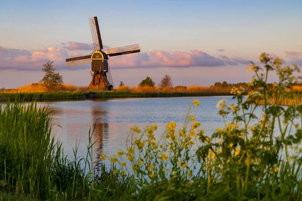 Windmolen Broekmolen Molenlanden Nieuwpoort Nederland — Stockfoto