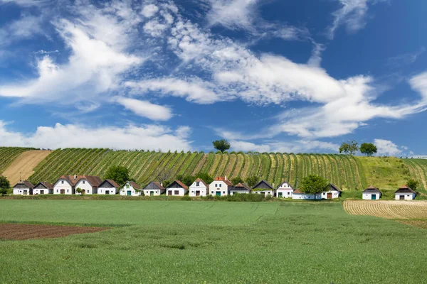 Traditionele Wijnkelderstraat Diepolz Bij Mailberg Neder Oostenrijk Oostenrijk — Stockfoto