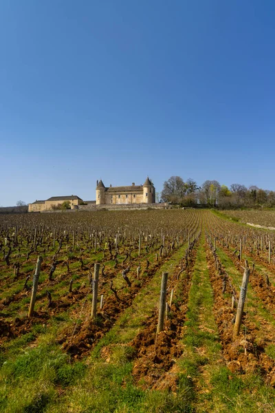 Kasteel Château Rully Departement Saone Loire Bourgondië Frankrijk — Stockfoto
