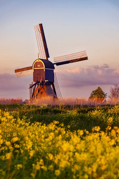 Windmill Broekmolen, Molenlanden - Nieuwpoort, The Netherlands