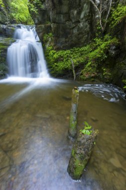 Çek Cumhuriyeti, Kuzey Moravya, Nizky Jesenik 'teki Huntava nehrinde Resov şelaleleri