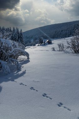 Mala Upa, Dev Dağlar (Krkonose), Doğu Bohemya, Çek Cumhuriyeti