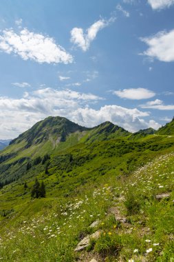Yaz başında tipik dağlık arazi Damuls, Vorarlberg, Avusturya yakınlarında.