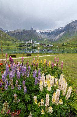 Bahar ve yaz manzarası, Tignes, Vanoise Ulusal Parkı, Fransa