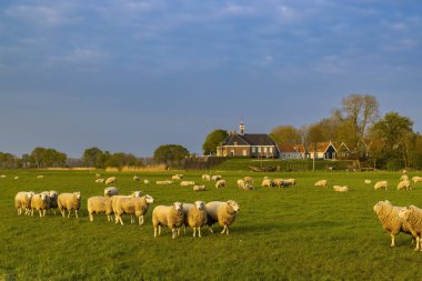 Eski Schokland Adası, UNESCO Dünya Mirası Alanı, Hollanda