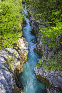 Great Soca Gorge (Velika korita Soce), Triglavski Ulusal Parkı, Slovenya