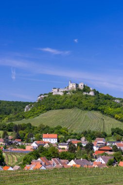 Falkenstein harabeleri ve üzüm bağı olan kasaba, Aşağı Avusturya, Avusturya