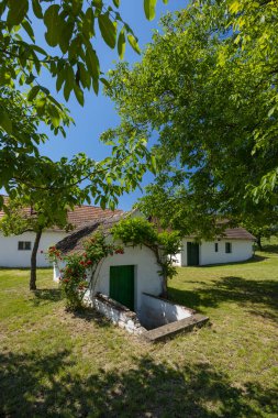 Poysdorf, Aşağı Avusturya yakınlarındaki Ketzelsdorf 'ta geleneksel şarap mahzeni caddesi (kellergasse)