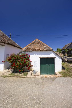 Mailberg, Aşağı Avusturya, Avusturya yakınlarındaki Diepolz 'da geleneksel şarap mahzeni caddesi