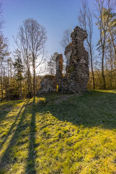 Ruiny Chlumu Xiii Wieku Pobliżu Zbysova Czechy Środkowe Czechy — Zdjęcie stockowe