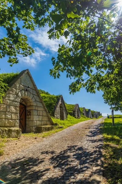 Gombos Hegyi Pincesor Hercegkut Unesco Site Great Plain North Hungary — Stock Photo, Image