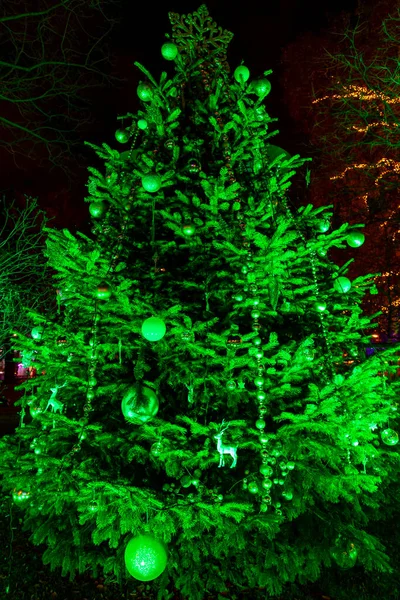Pomul Crăciun Din Viena Austria — Fotografie, imagine de stoc