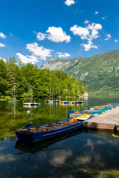 Lago Bohinj Parque Nacional Triglav Eslovénia — Fotografia de Stock