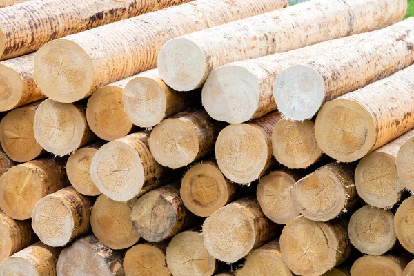 Träförädlingsindustrin Alperna Italien — Stockfoto