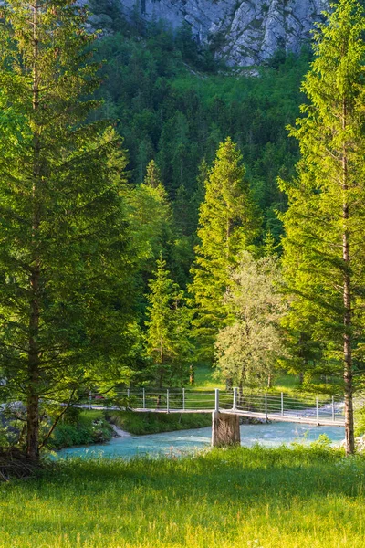 Soca Nehri Üzerindeki Halat Köprüsü Triglavski Ulusal Parkı Slovenya — Stok fotoğraf