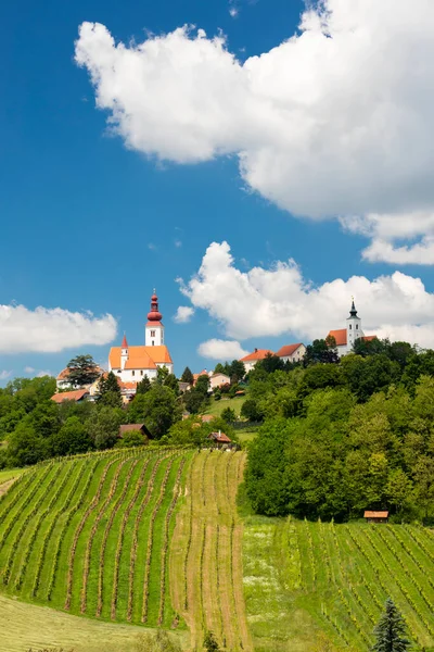 Město Straden Vinice Štýrsku Rakousko — Stock fotografie