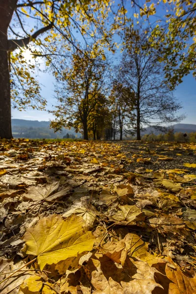 Beco Outono Perto Banhorvati Norte Hungria Hungria — Fotografia de Stock