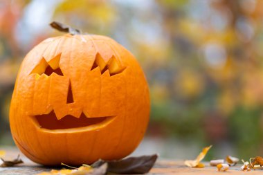 Cadılar bayramı balkabağı, sonbahar durgun hayat