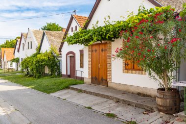 Hajos, Kalocsa County, Güney Büyük Ovası, Macaristan 'daki mahzen yolu.