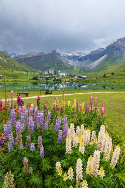 Bahar ve yaz manzarası, Tignes, Vanoise Ulusal Parkı, Fransa