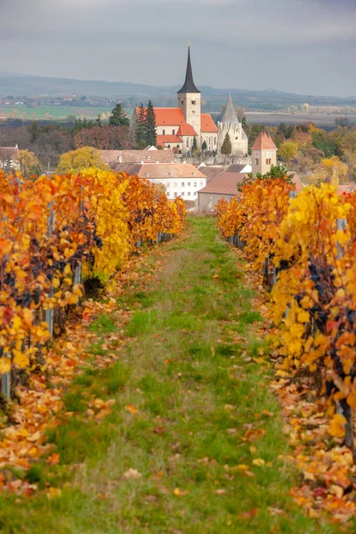 Vigneto Autunno Vicino Pulkau Bassa Austria Austria — Foto Stock