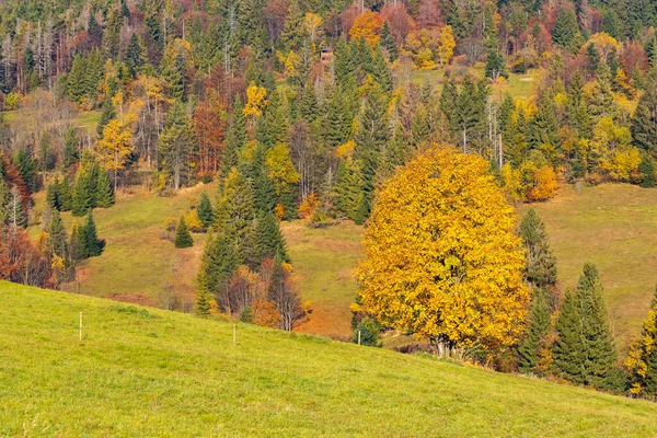スロバキアのサドルBeskyd近くの秋の風景 — ストック写真