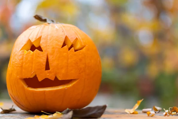 Calabaza Halloween Naturaleza Muerta Otoño —  Fotos de Stock