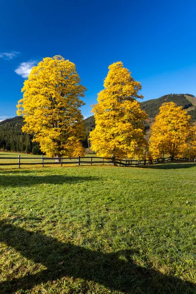 オーストリアのダシュタイン地方の秋の風景 — ストック写真