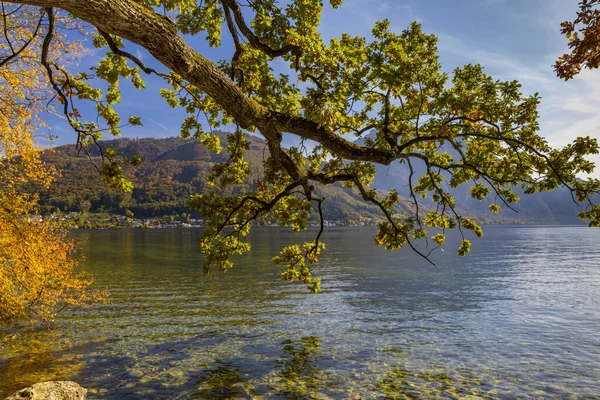 Lake Castle Park Gmunden Austria — 图库照片