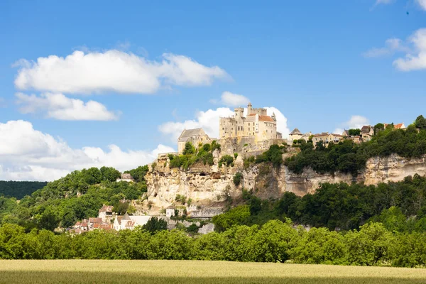 Chateau Beynac Beynac Cazenac França — Fotografia de Stock