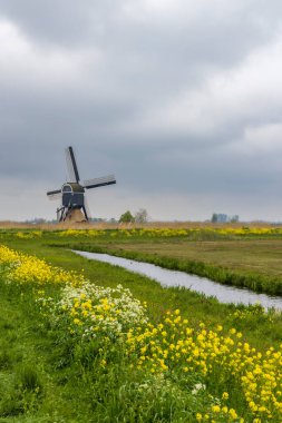 Windmill Broekmolen, Molenlanden - Nieuwpoort, Hollanda