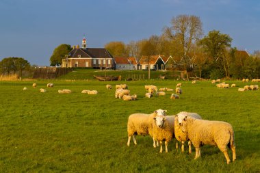 Eski Schokland Adası, UNESCO Dünya Mirası Alanı, Hollanda