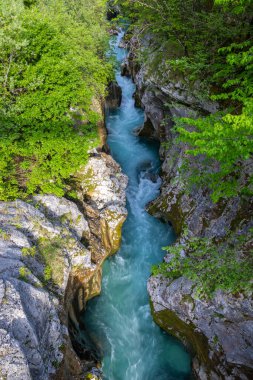 Great Soca Gorge (Velika korita Soce), Triglavski Ulusal Parkı, Slovenya