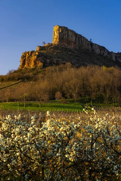 Rock Solutre Vineyards Burgundy Solutre Pouilly France — стокове фото