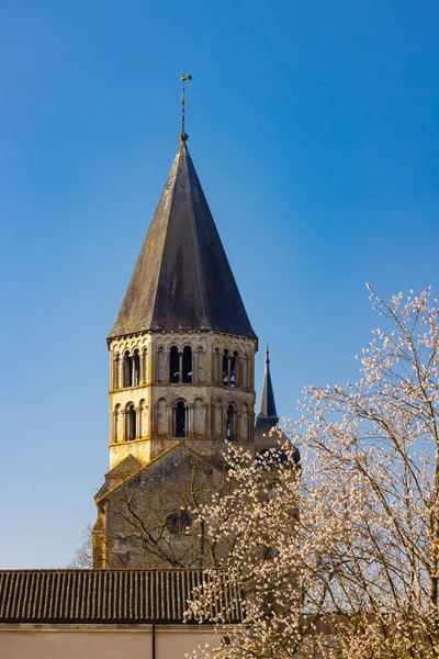 Benedictine Abbey Cluny Saone Loire Department Bourgogne Region France — Stock Photo, Image