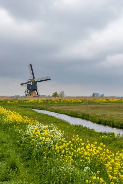 Windmill Broekmolen Molenlanden Nieuwpoort Netherlands — Stok fotoğraf