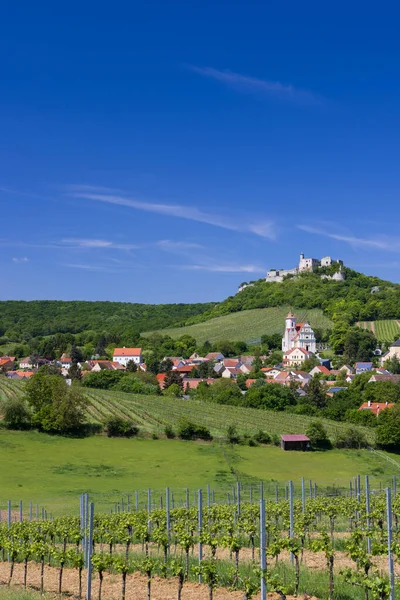 Falkenstein Harabeleri Üzüm Bağı Olan Kasaba Aşağı Avusturya Avusturya — Stok fotoğraf