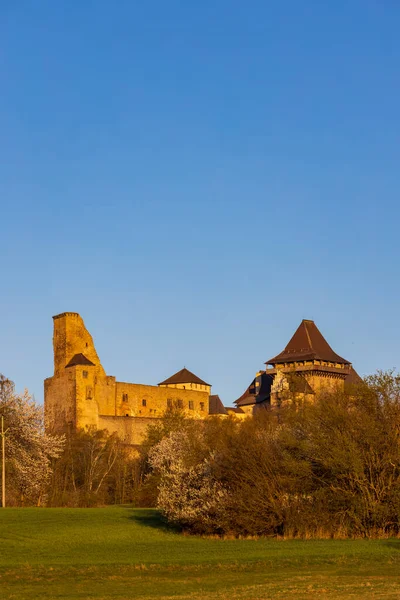 Llipnice Nad Sazavou Castle Vysocina Region Czech Republic — стокове фото