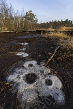 Doğa rezervi Soos, Batı Bohemya, Çek Cumhuriyeti