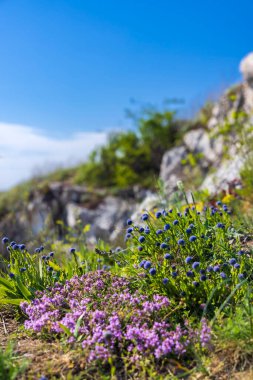 Palava manzarası, Doğal Kaya Anıtı (Kocici skala), Güney Moravya, Çek Cumhuriyeti