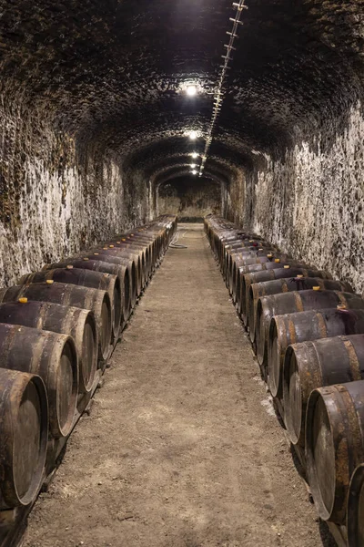 Caves Vinho Com Barris Vinho Tradicional Chamado Bikaver Perto Eger — Fotografia de Stock