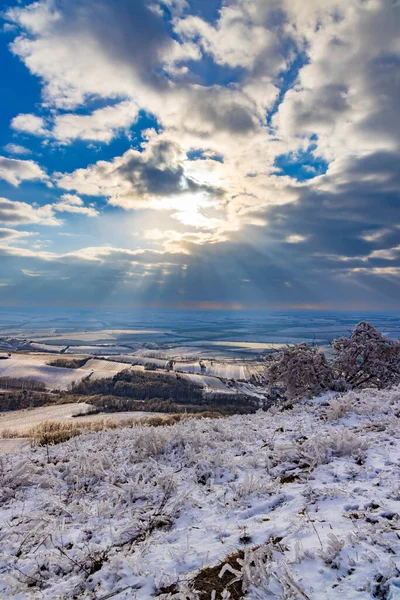 Winter Landscape Mikulov Palava Region Southern Moravia Czech Republic — Stock Photo, Image