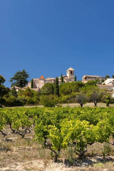 Typical Vineyard Vinsobres Cotes Rhone France — Stock Photo, Image