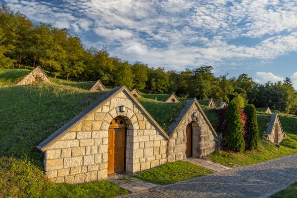 Őszi Gombos Hegyi Csipesz Hercegkut Unesco Telephely Alföld Észak Magyarország — Stock Fotó